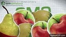Genetically Modified Organism (GMO) - Myths and Truths on Make a GIF