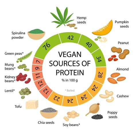 How To Get Enough Protein As A Vegan The Complete Guide