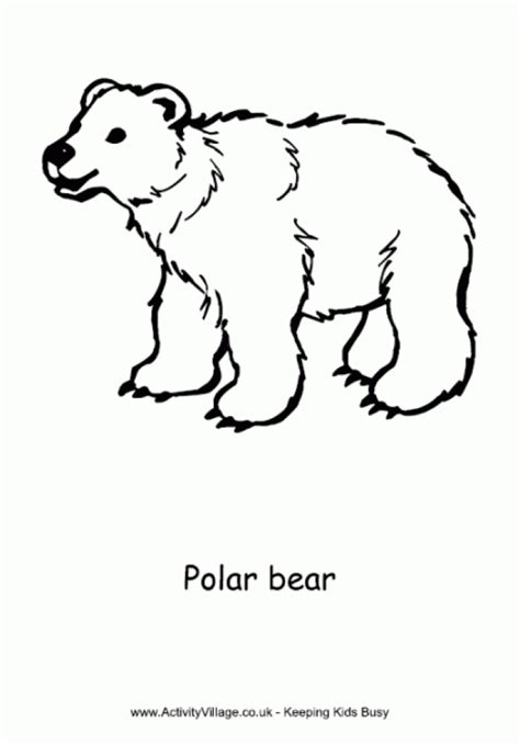 Maybe you would like to learn more about one of these? Get This Polar Bear Coloring Pages for Toddlers dl53x