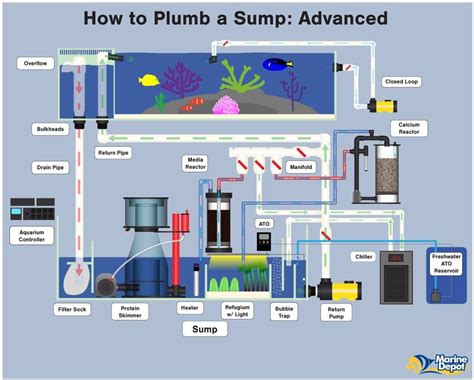 How To Plumb A Sump Basic Intermediate And Advanced Bulk Reef