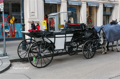 Hackney Carriage In Vienna Behance