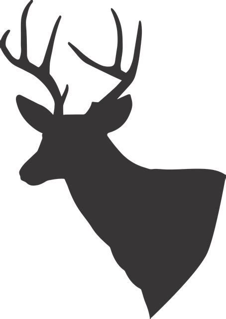 Free Image on Pixabay - Deer, Deer Silhouette, Silhouette | Deer silhouette, Deer, Silhouette vector