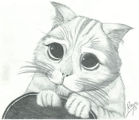 El Gato Con Botas Cartoon Drawings Of Animals Cat Face Drawing Cat