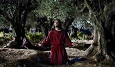 Quella notte nel Getsemani: le rivelazioni di Gesù a una mistica