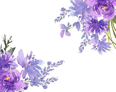 Purple Flower Designs Aquarelle Cip Art Collection De Fleurs