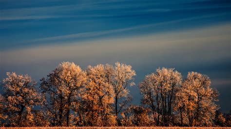 1920x1080 Trees Sky Nature Hoarfrost Field Winter Coolwallpapersme