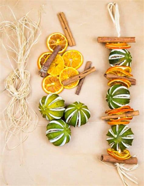 Best Dried Orange Garland Diy Ideas Red Ted Art Kids Crafts