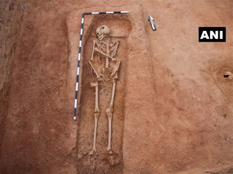 Human Skeletal Remains Unearthed At Tns Kondagai Excavation Site