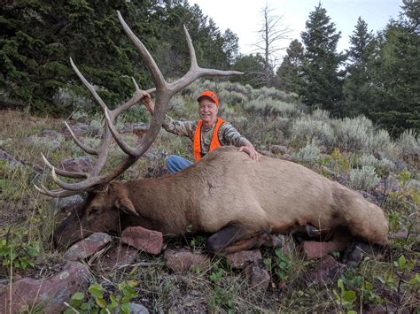 Utahs Premier Trophy Elk Hunt During The September Bugle