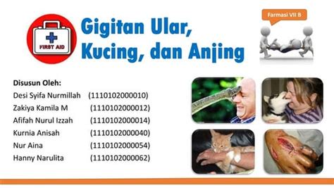 Pertolongan Pertama Pada Gigitan Ular Ppt