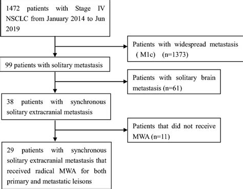 Flow Chart Of Patients Treatments Download Scientific Diagram