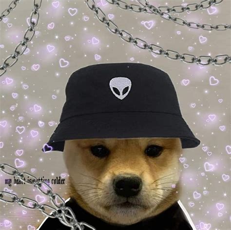 Cute Dog With Alien Hat And Chain