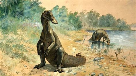 New Duck Billed Dinosaur Gives Clues To Ancient Flair Fox News