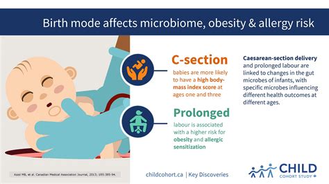 Birth Mode Affects Microbiome Obesity And Allergy Risk Child Cohort Study