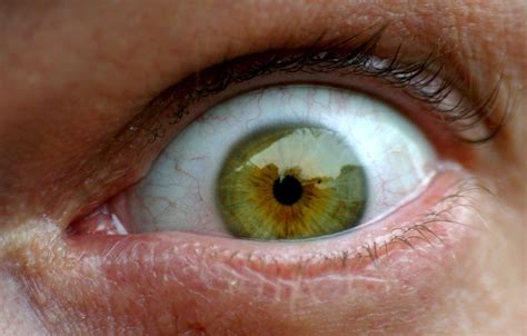 Eyeball 01 Free Photo Download Freeimages