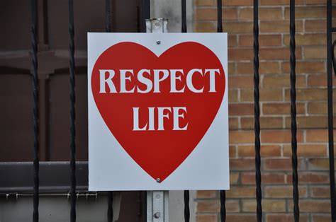Orbis Catholicus Secundus: Respect Life