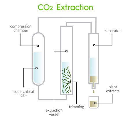 Cbd Extraction Methods What Are The Best And Safest Cbdmarket