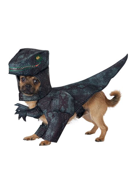 Pupasaurus Rex Pet Dog Costume