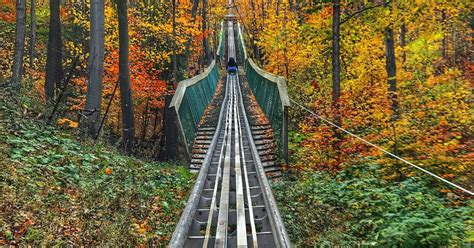 You Can Ride This 1 Km Mountain Coaster Through The Forest In Ontario