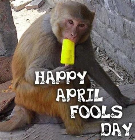 Pranks and jokes can only be. Happy April Fools Day Pictures, Photos, and Images for ...
