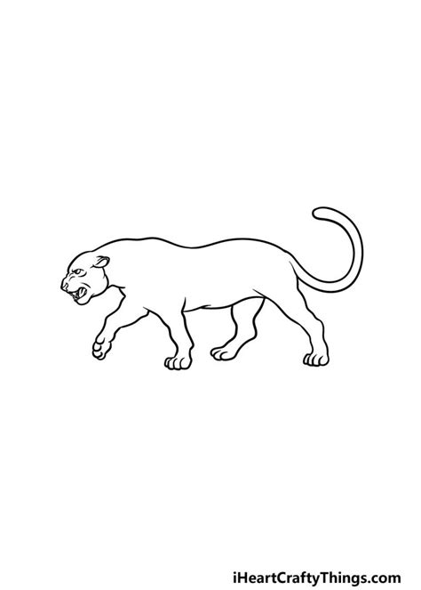 Panther Drawing How To Draw A Panther Step By Step