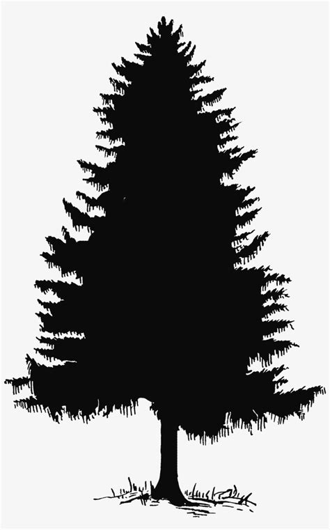 Pine Tree Tree Silhouette And Clip Art On Pine Tree Silhouette Png