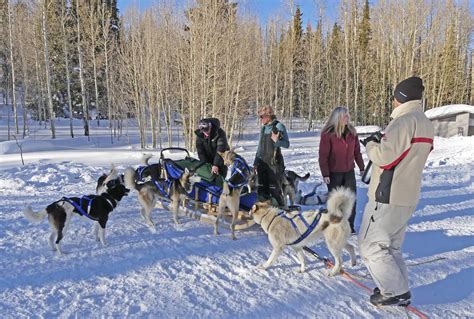 Colorado Dog Sledding Winter Dog Sled Tours In Co