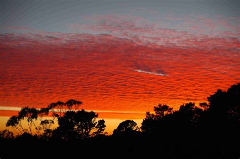 The Top 10 Places To See The Sunset In San Francisco