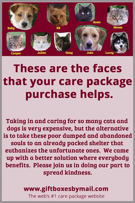 Build your own care package ireland. Since 2009 we've been taking in dumped and abandoned cats ...