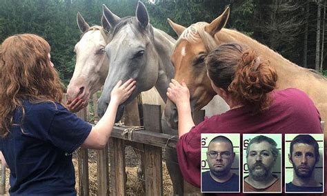 Three Men Are Arrested On 1400 Counts Of Having Sex With Animals At