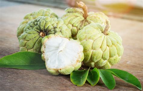 Atis Benefits And Its Herbal Uses To Improve Health