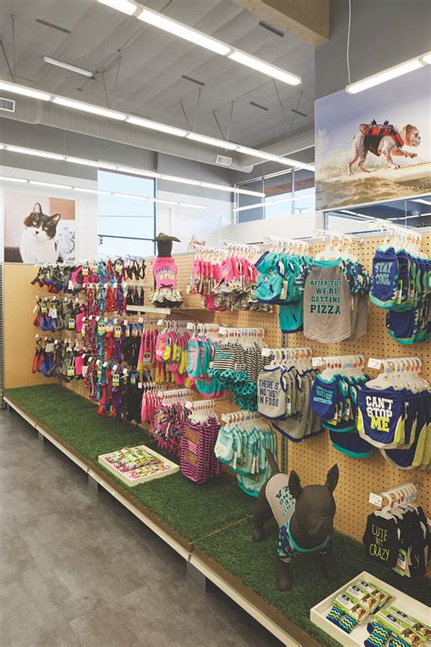 Petsmart - Huntington Beach, CA | Fulcrum Construction