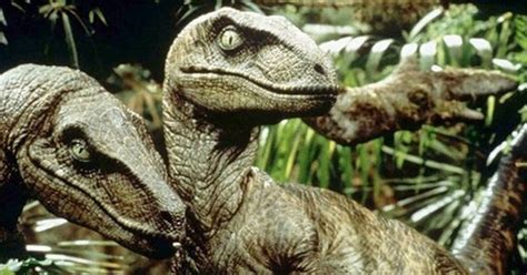 Ranking Jurassic Park Movies By The Best Velociraptor Scenes We Are My Xxx Hot Girl