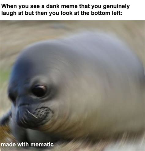 We Need More Seal Memes Rdankmemes