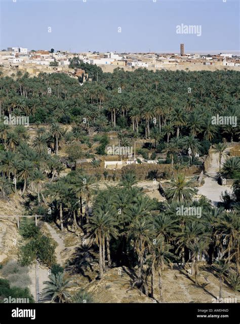 Nefta Oasis Hi Res Stock Photography And Images Alamy