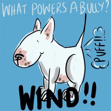 35 Bull Terrier Quotes And Sayings The Paws