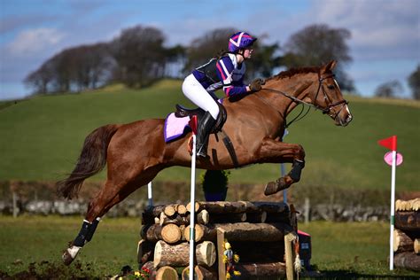 Free Images Field Jump Recreation Jumping Rider Portrait