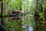 Learn the Legend Behind the Honey Island Swamp Monster of Louisiana