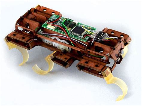Worlds Fastest Cockroach Robot Was Designed To Save Lives