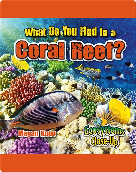What Do You Find In A Coral Reef Childrens Book By Megan Kopp
