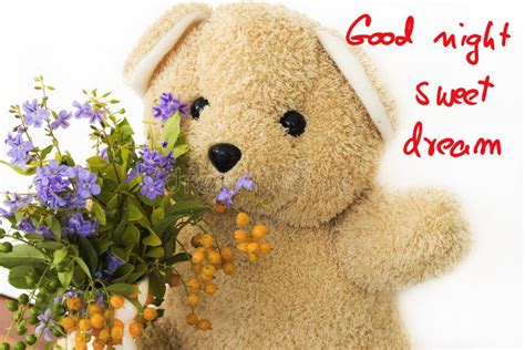 Good Night Sweet Dream Message Card With Teddy Bear Purple Flowers