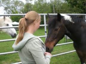How Horses Help Humans Human Horse Harmony