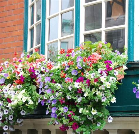 20 Wonderfull Window And Balcony Flower Box Ideas That You Will Fall In