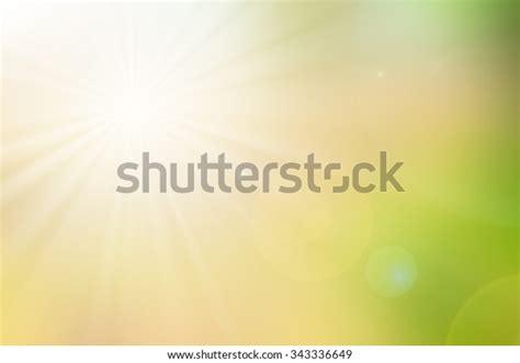 Under Bright Sun Natural Backgrounds Stock Illustration 343336649