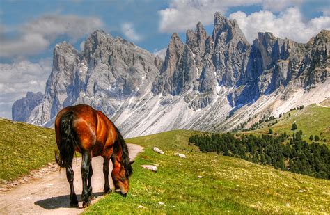 Papeis De Parede 2619x1710 Itália Cavalo Montanhas South Tyrol Alpes