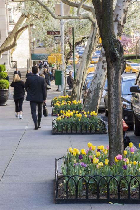 The Most Beautiful Sidewalk Gardens In New York