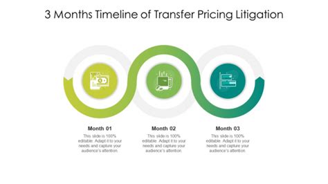 3 Months Timeline Of Transfer Pricing Litigation Ppt Powerpoint