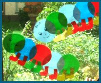 Raupen und Schmetterlinge fürs Fenster im kidsweb.de