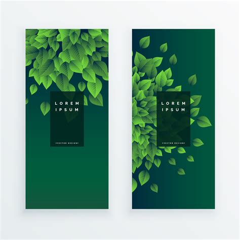 Set Of Two Nature Banners Background Download Free Vector Art Stock