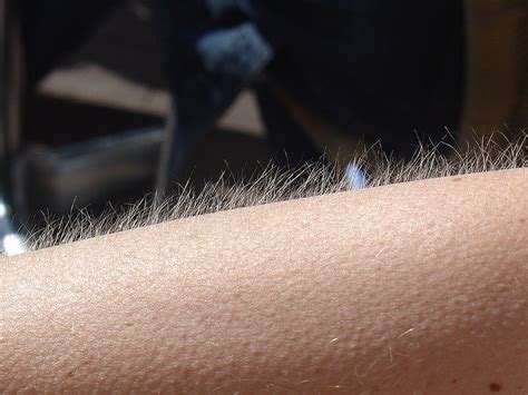 The Science Behind Why Our Favorite Music Give Us Goose Bumps Man